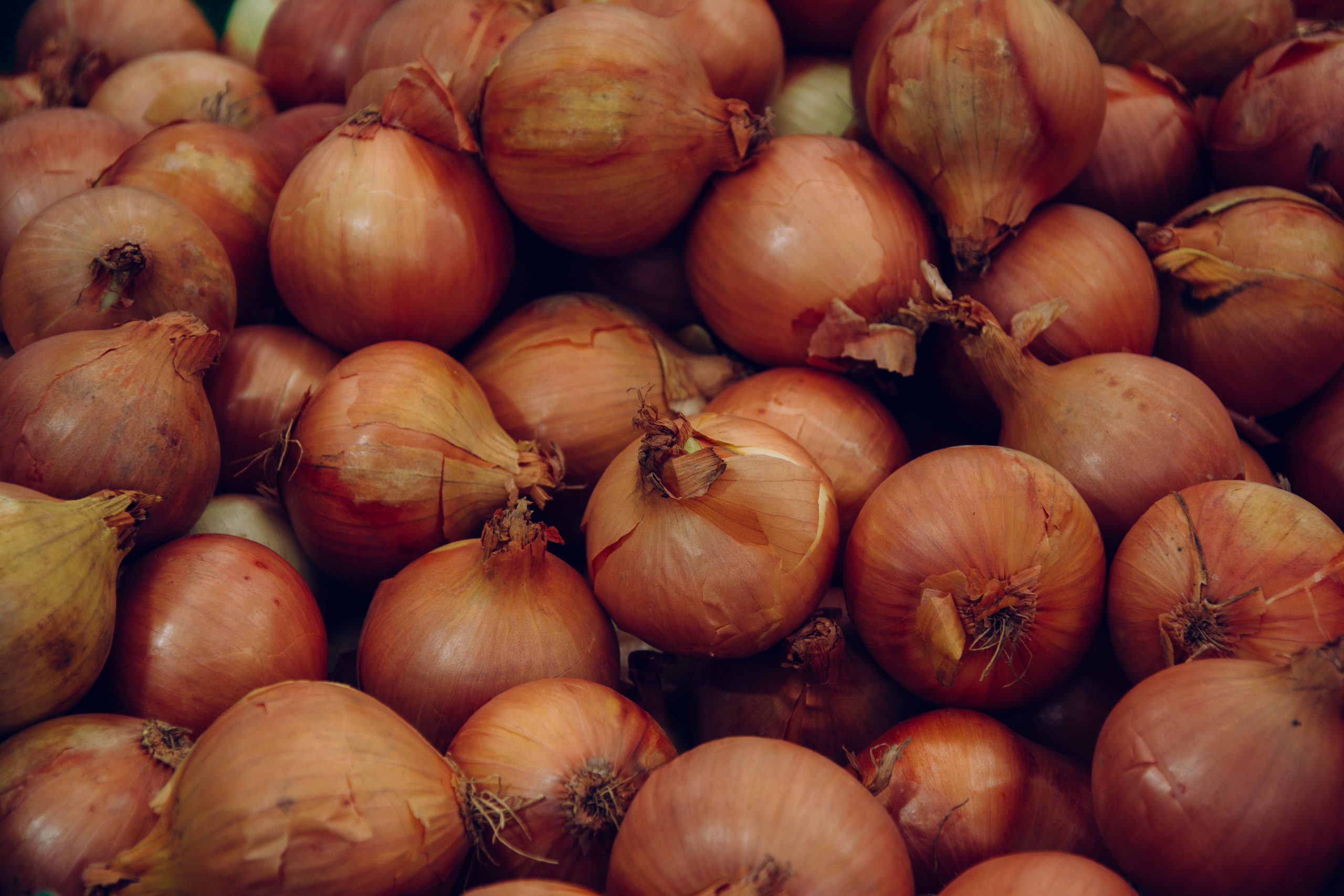 A pile of onion bulbs sold in the market